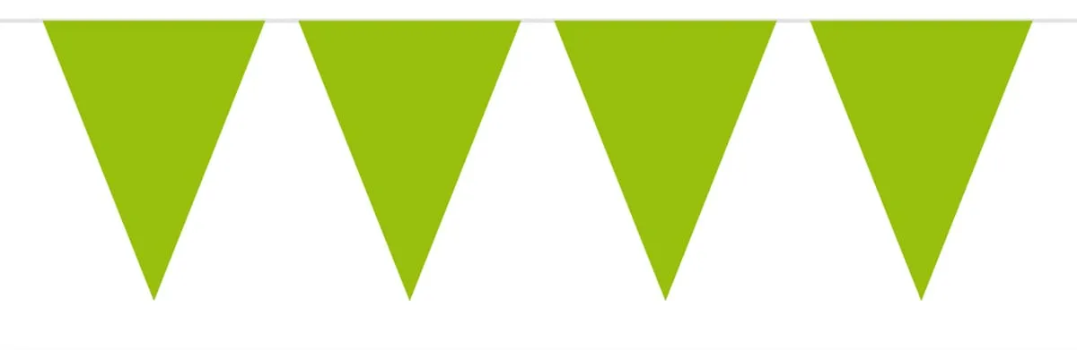 Bandierine verde acceso 10m