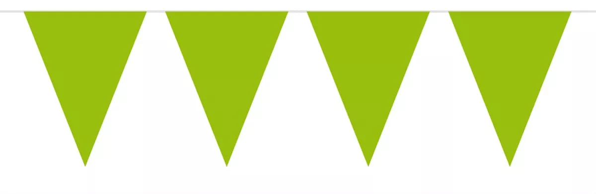 Bandierine verde acceso 10m