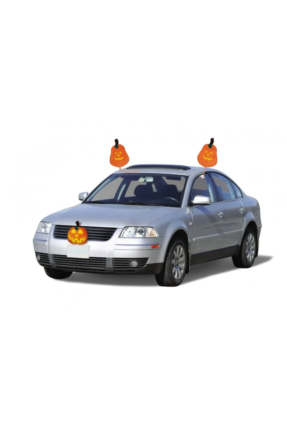 Costume di Halloween per automobile