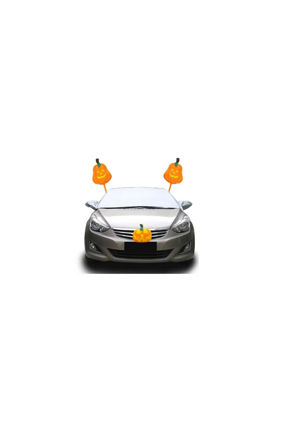 Costume di Halloween per automobile